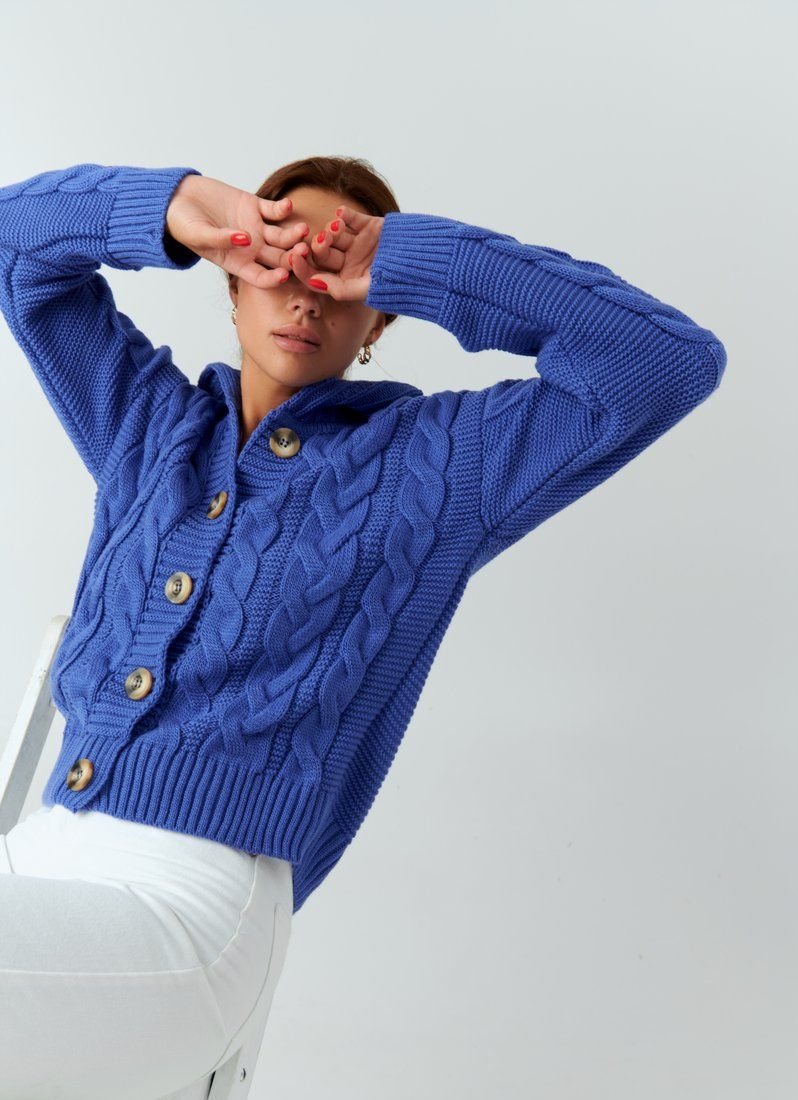 Blue button-down jumper