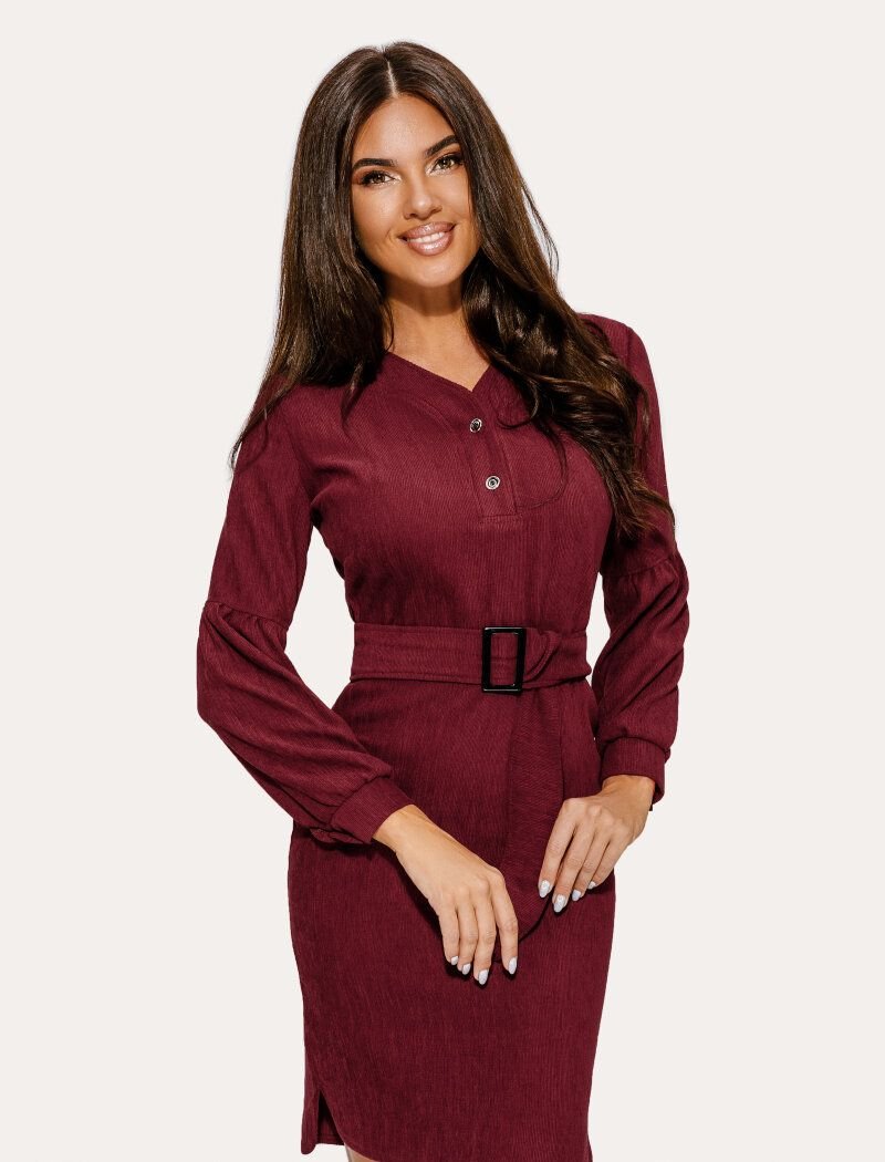 Dress with a voluminous sleeve