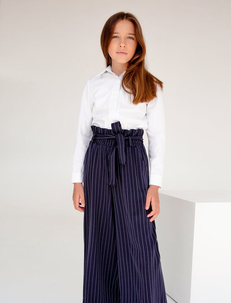 Classic blue trousers with a thin stripe